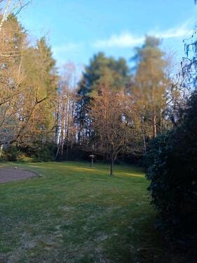 Foto - 7 Zimmer Einfamilienhaus zum Kaufen in Osterholz-Scharmbeck