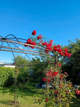 Foto - Grundst&uuml;ck in Rostock