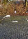 Foto - Außenstellplatz - 30,00&nbsp;EUR Miete,