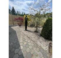 60 qm Wohnung, 2 Zimmer, Küche, Badezimmer, Terrasse - Cloppenburg