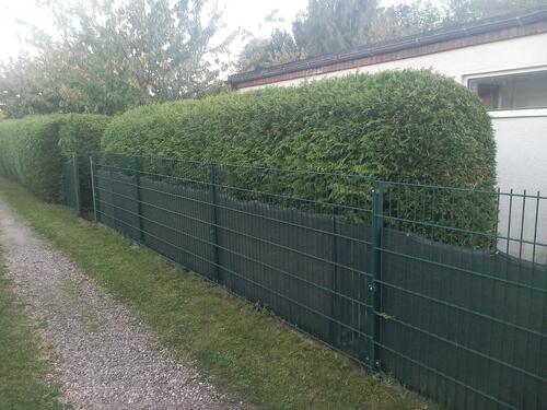 Foto - Grundst&uuml;ck zur Miete in Schwerin