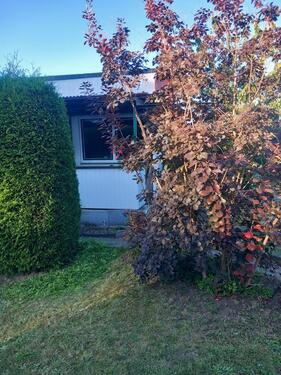 Foto - Grundst&uuml;ck in Schwerin zur Miete