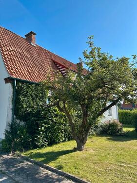 Foto - 5 Zimmer Doppelhaushälfte in Salzhemmendorf