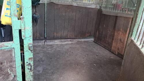 Foto - andere zur Miete in Oberursel (Taunus)