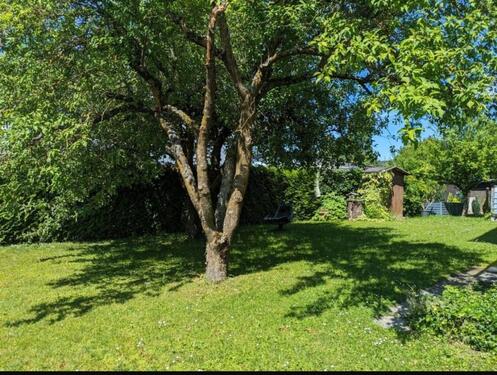 Foto - 7 Zimmer Einfamilienhaus zum Kaufen in Osterhofen