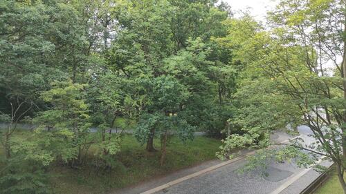 Foto - Etagenwohnung in Plauen zur Miete