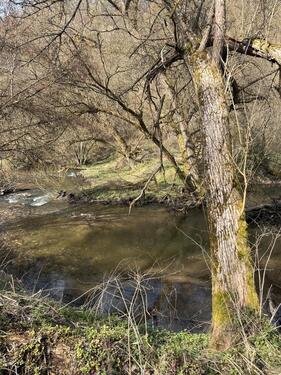 Foto - Ein Zimmer Apartment zu vermieten