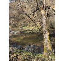 Ein Zimmer Apartment zu vermieten - Hohenstein