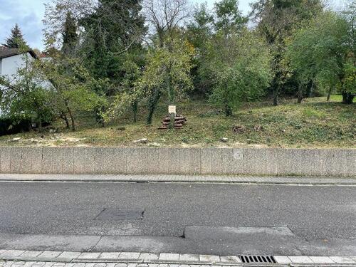 Foto - Schönes Grundstück in Lemberg zu verkaufen