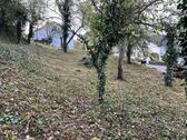 Foto - Einfamilienhaus in Lemberg