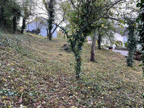 Foto - Einfamilienhaus in Lemberg