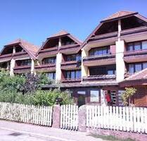 Vermiete ruhige Dachgeschosswohnung mit Panoramaaussicht - Bad Liebenzell