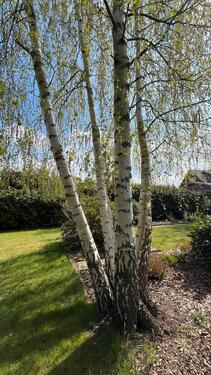 Foto - BauflächeBauplatzBaugrundstück bis 2.300 qm - teilbar, 2 VG, WA