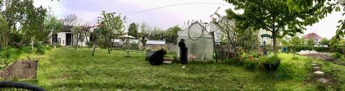 Foto - Grundst&uuml;ck in Dresden zur Miete