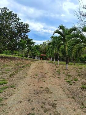 Foto - Grundstück - 60,00&nbsp;EUR Kaltmiete,