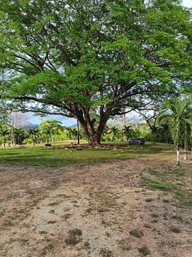 Foto - andere zur Miete in Freiburg im Breisgau