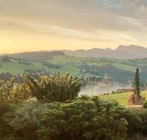 Wohnung mit traumhaftem Panorama-Fernblick im Allgäu zu verkaufen - Bonn Friesdorf