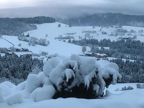 Foto - 2 Zimmer Etagenwohnung in Bonn