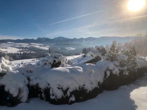 Foto - Etagenwohnung in Bonn zum Kaufen