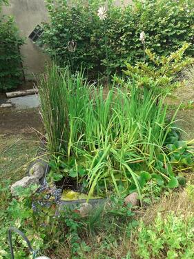 Foto - Grundst&uuml;ck in Berlin zur Miete