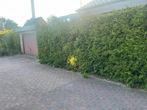 Foto - 4 Zimmer Bungalow zum Kaufen in Kaltenkirchen