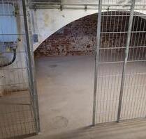 25 m² Lagerraum, Keller, Souterrain, Handwerker, Lager - Oranienburg