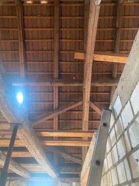 Foto - Haus im Grünen, beste Aussicht ins Grüne idyllisch