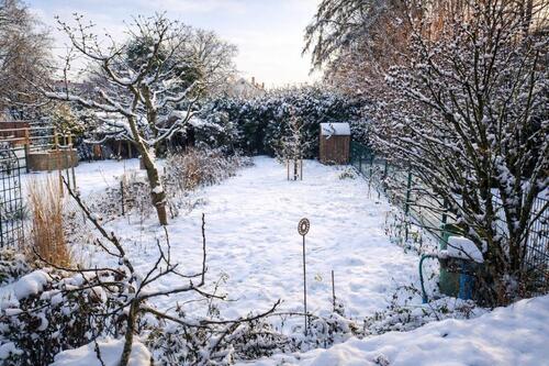 Foto - 4 Zimmer Reihenhaus zum Kaufen in Frankfurt am Main