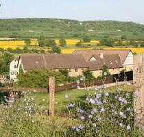 Dachgeschosswohnung in der Eulenmühle in Ingelheim - Ingelheim am Rhein