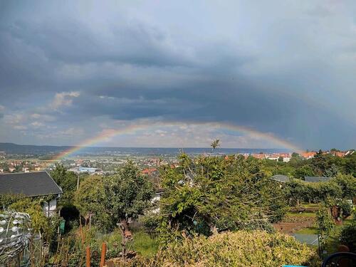 Foto - Kleingarten KGV Elbtalblick 01156 Dresden abzugeben