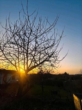 Foto - Grundst&uuml;ck in Leipzig zur Miete