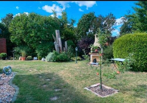 Foto - Grundst&uuml;ck zur Miete in Delitzsch