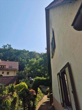 Foto - Doppelhaushälfte in Lambrecht (Pfalz)