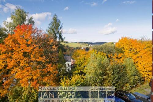 Foto - 2 Zimmer Etagenwohnung zur Miete in Greiz