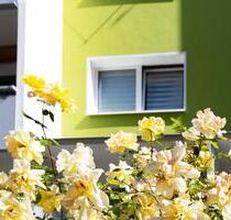 4-Zimmer-Wohnung preiswert! - 400,00&nbsp;EUR Kaltmiete, ca.&nbsp; 71,70&nbsp;m&sup2; in Halle (Saale) (PLZ: 06132) Silberhöhe