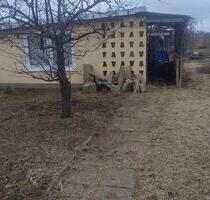 Kleingarten in ruhiger Lage in Halle (Frohe Zukunft) - Halle (Saale)