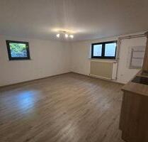 1 Zimmer Wohnung Terrasse Einbauküche - Lonsee