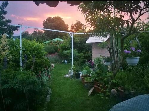 Foto - Grundst&uuml;ck in Zwickau