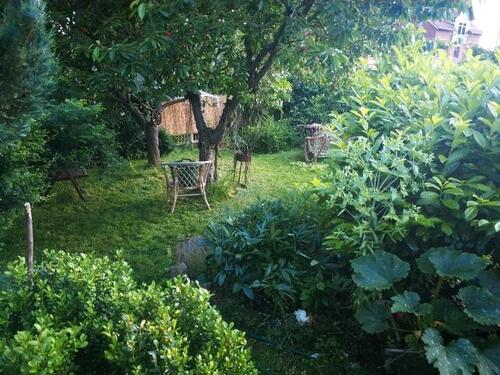 Foto - Grundst&uuml;ck in Zwickau zur Miete