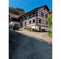 3- Zimmer-Wohnung mit Schwarzwald-Flair – Erstbezug - Bühlertal