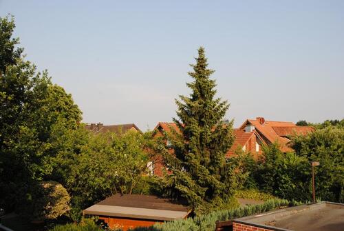 Foto - Helle und geräumige 3-Zimmer Wohnung mit Süd-Balkon