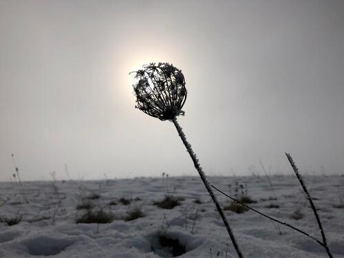 Foto - andere in Nonnweiler zur Miete