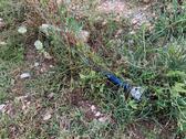 Foto - Grundst&uuml;ck in Lauterhofen zur Miete