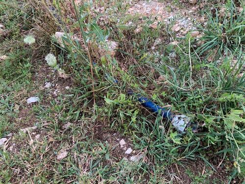 Foto - Grundst&uuml;ck in Lauterhofen zur Miete