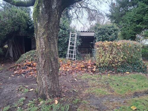 Foto - Einfamilienhaus in Neuenhagen bei Berlin zum Kaufen