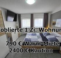 ab sofort - Möbliertes Apartment Nr. 8 - Neustadt - Im Schelmen 7 - Neustadt an der Weinstraße