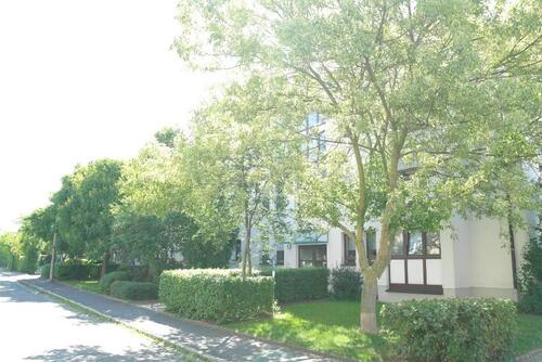 Foto - ++ Charmante geräumige 3-Raumwohnung mit Terrasse und TG-Stellplatz in Dresden Seidnitz Dobritz ++