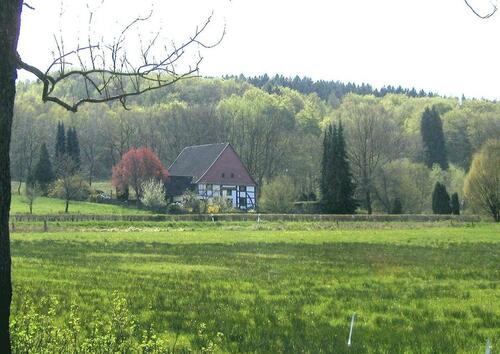 Foto - 10 Zimmer Einfamilienhaus zum Kaufen in Extertal