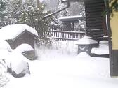 Foto - 