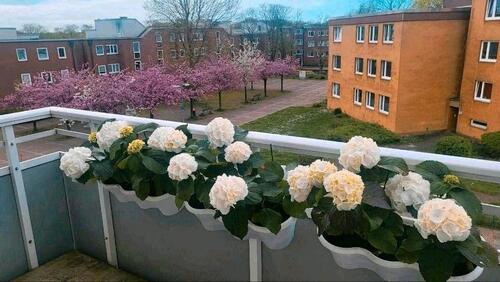 Foto - 4 Zimmer Etagenwohnung zur Miete in Dorsten